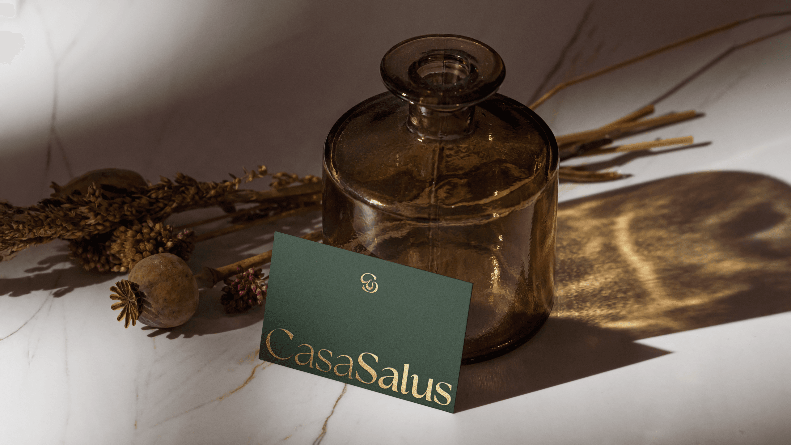 CasaSalus Cartão de visitas frente